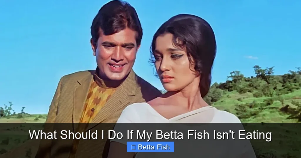 What Should I Do If My Betta Fish Isn't Eating