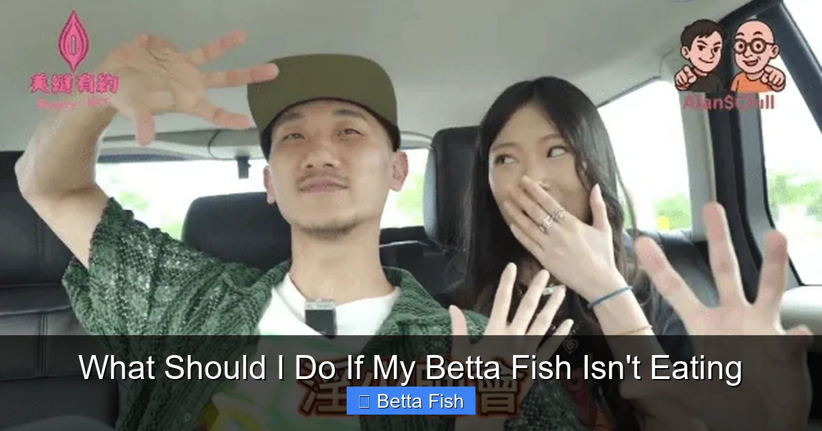 What Should I Do If My Betta Fish Isn't Eating