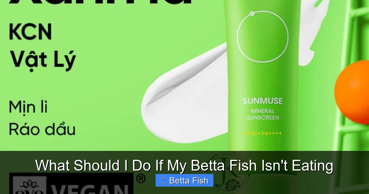 What Should I Do If My Betta Fish Isn't Eating