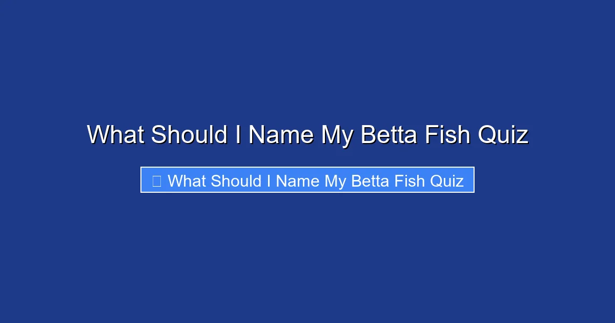 What Should I Name My Betta Fish Quiz
