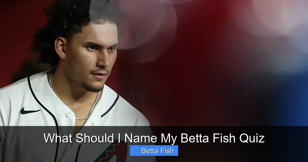 What Should I Name My Betta Fish Quiz