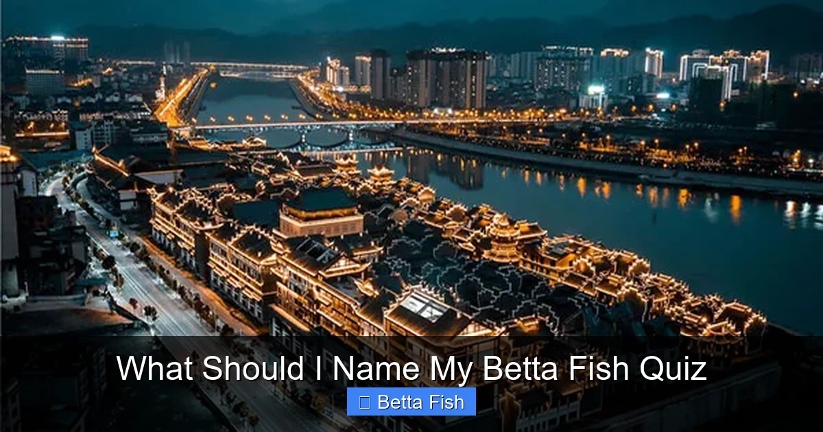 What Should I Name My Betta Fish Quiz