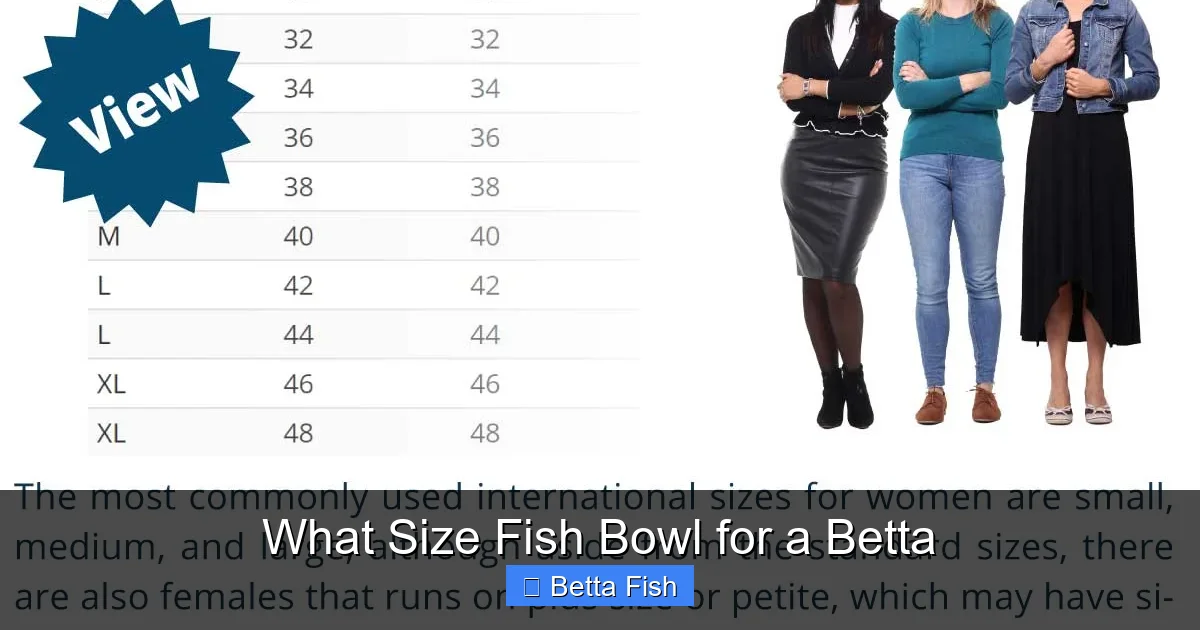 What Size Fish Bowl for a Betta