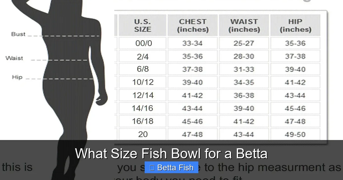 What Size Fish Bowl for a Betta
