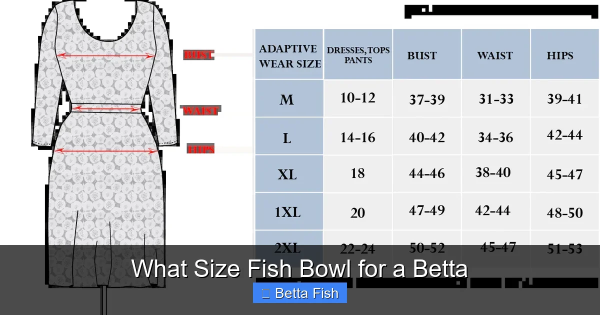 What Size Fish Bowl for a Betta