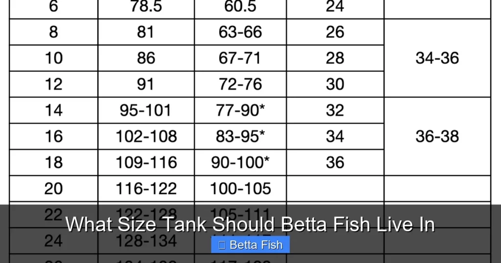 What Size Tank Should Betta Fish Live In