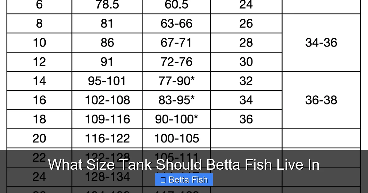 What Size Tank Should Betta Fish Live In