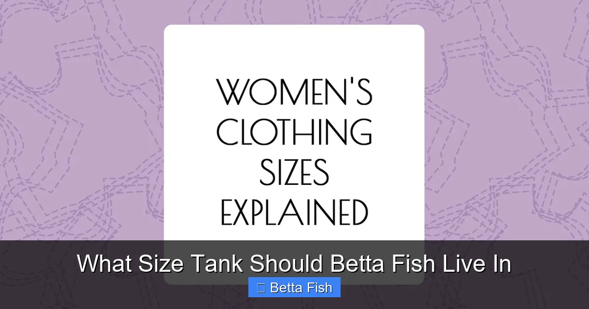 What Size Tank Should Betta Fish Live In