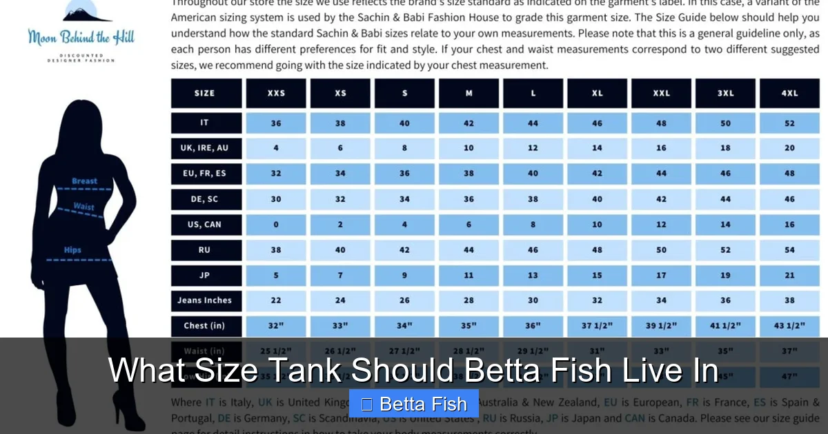 What Size Tank Should Betta Fish Live In