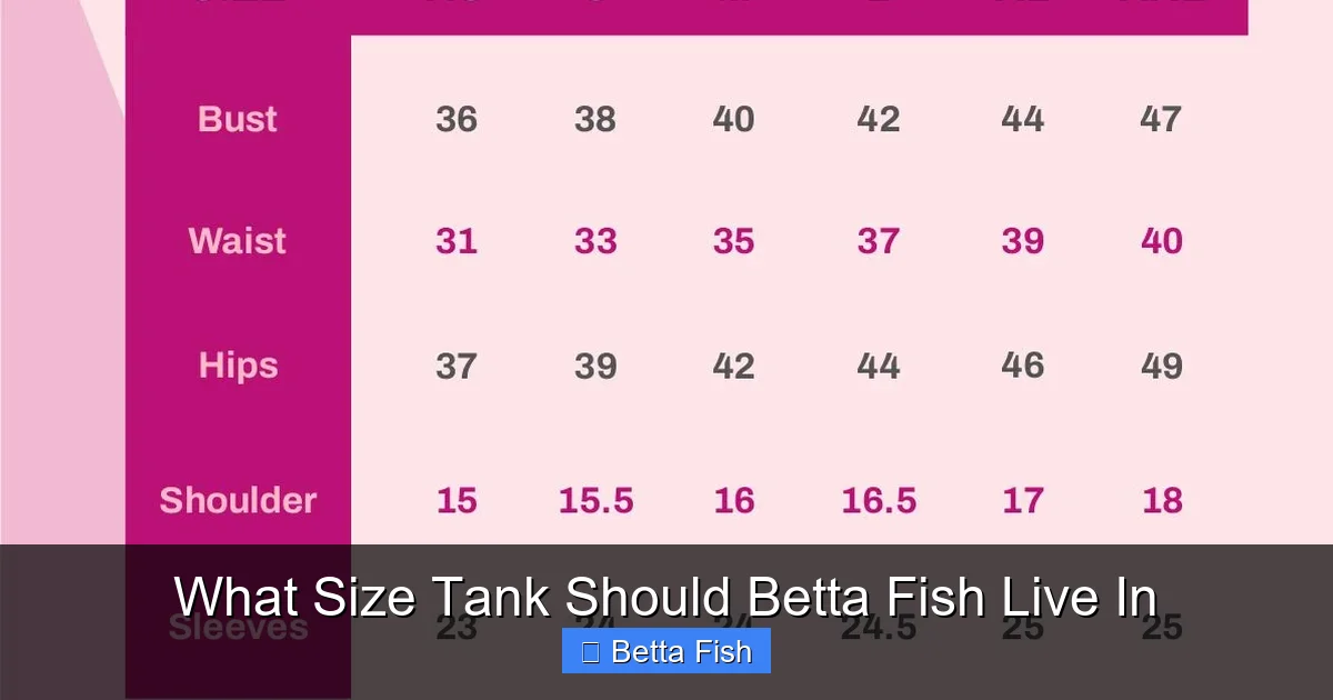 What Size Tank Should Betta Fish Live In