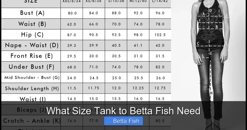 What Size Tank to Betta Fish Need