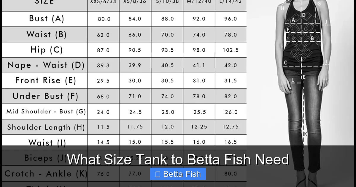 What Size Tank to Betta Fish Need