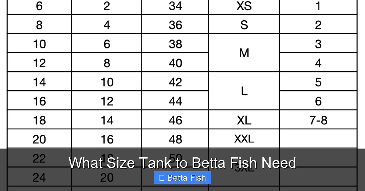 What Size Tank to Betta Fish Need