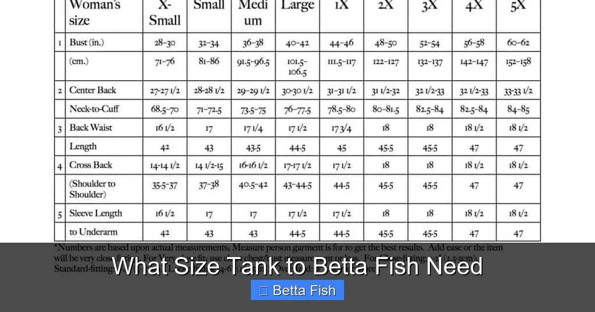 What Size Tank to Betta Fish Need