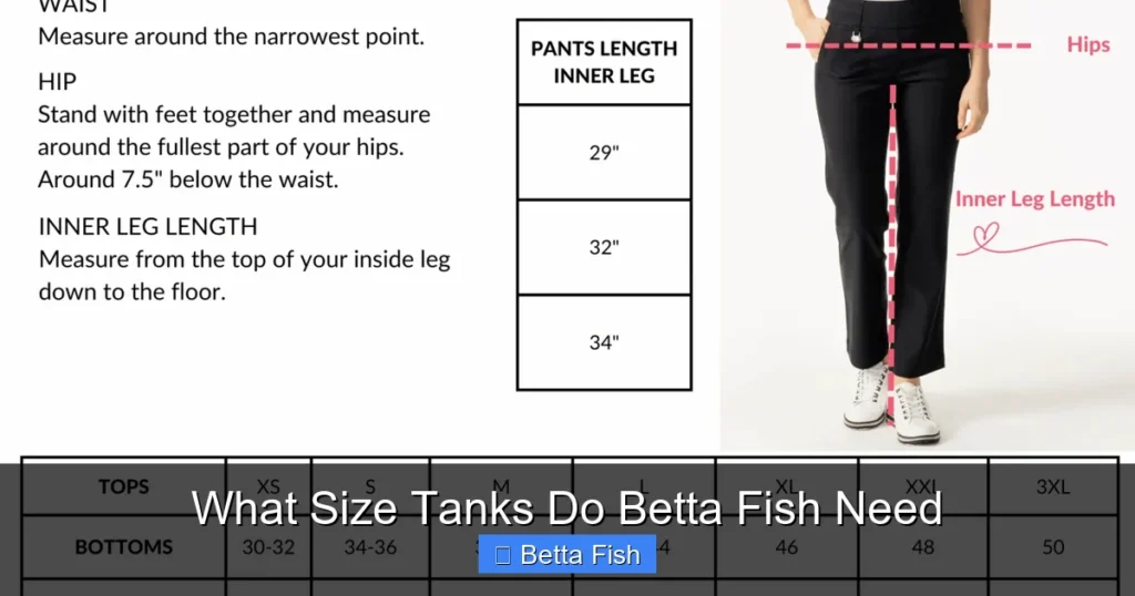 What Size Tanks Do Betta Fish Need
