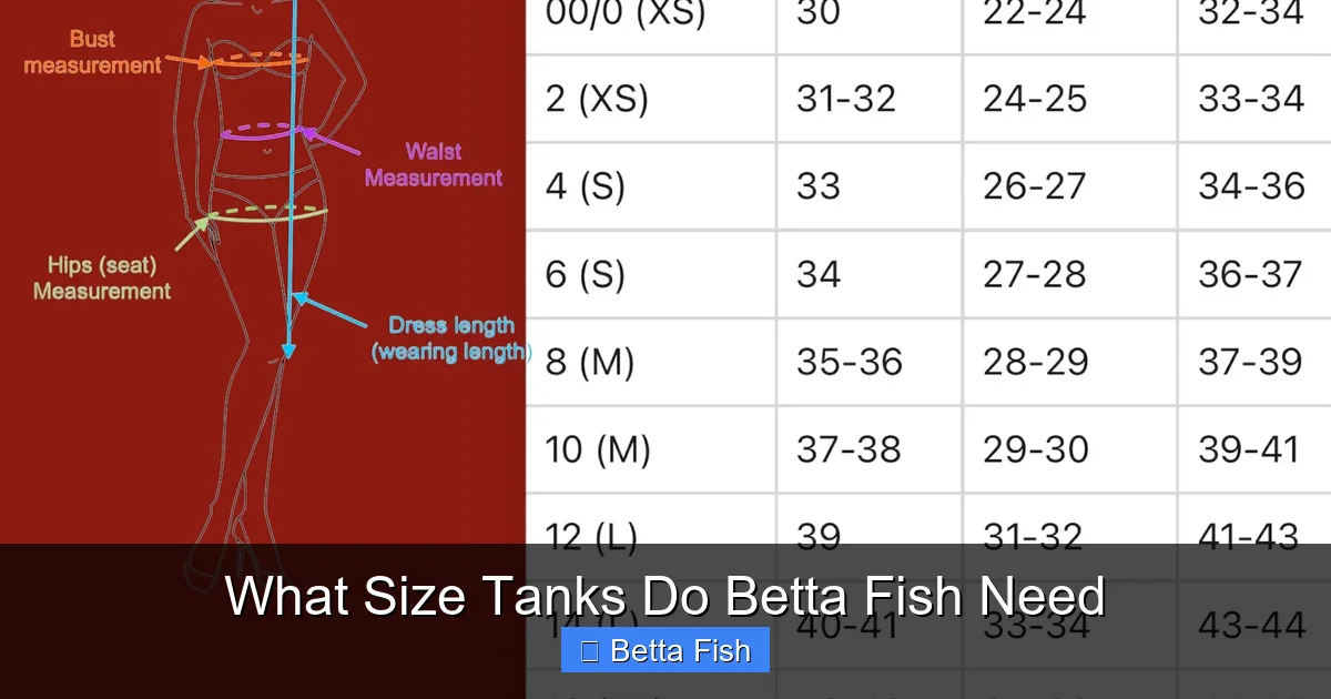 What Size Tanks Do Betta Fish Need