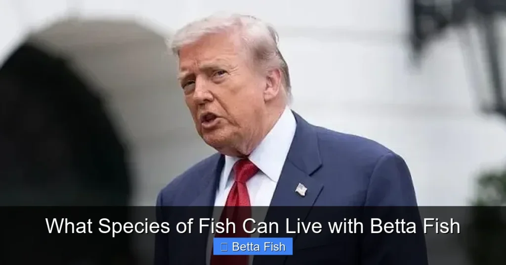 What Species of Fish Can Live with Betta Fish