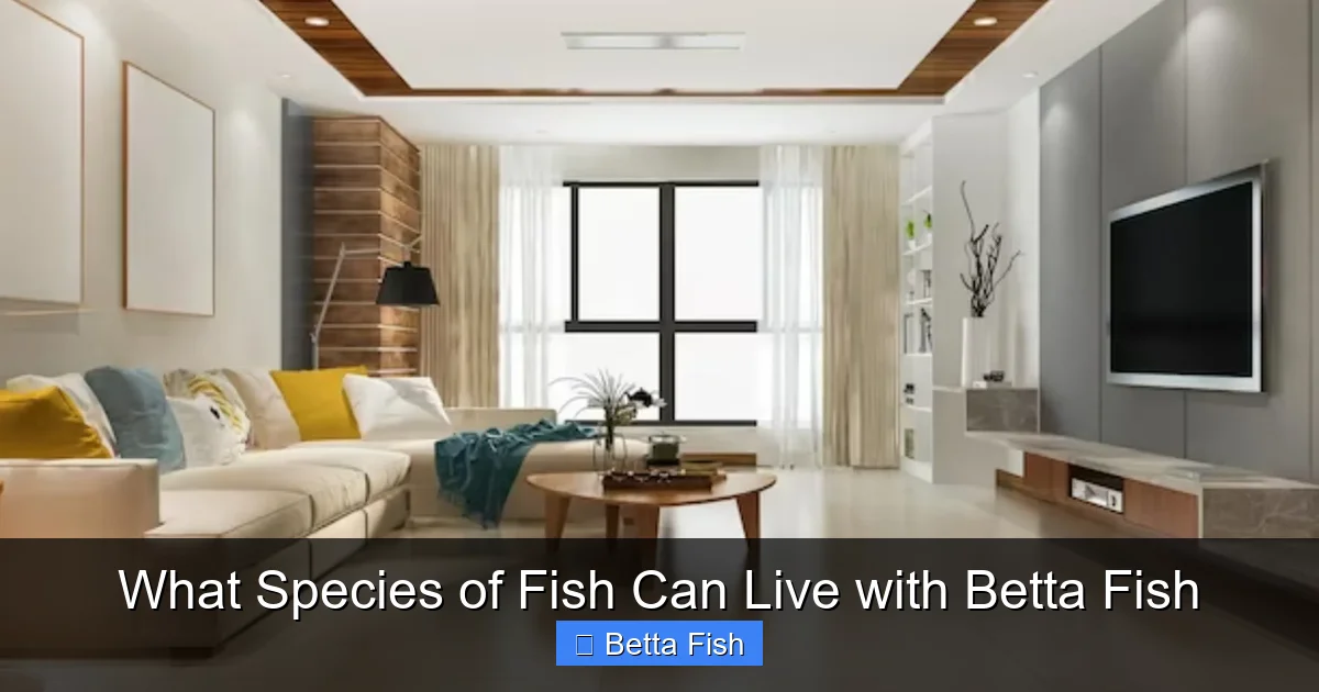 What Species of Fish Can Live with Betta Fish