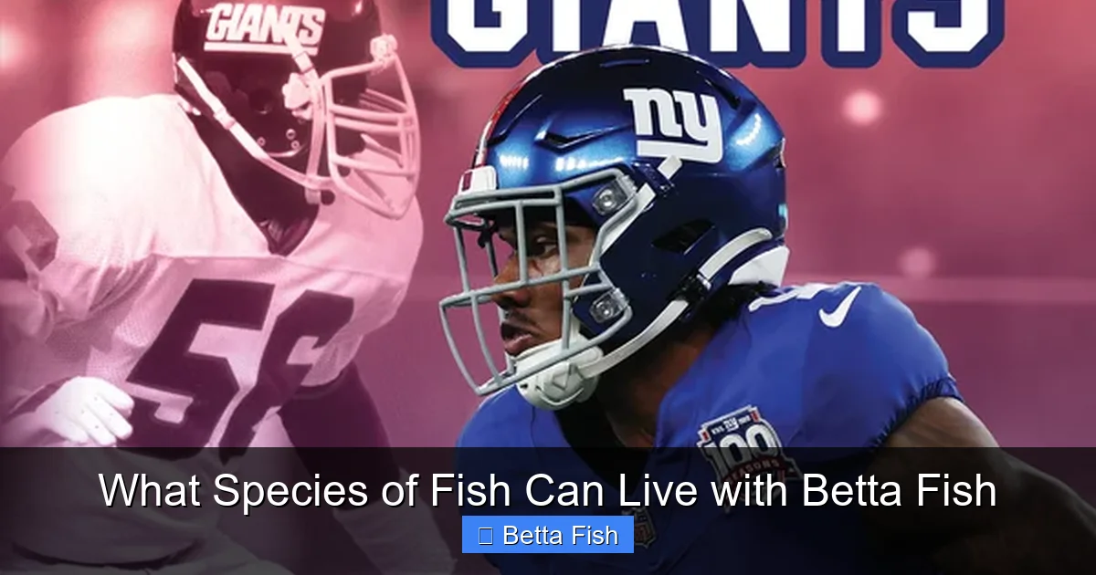 What Species of Fish Can Live with Betta Fish