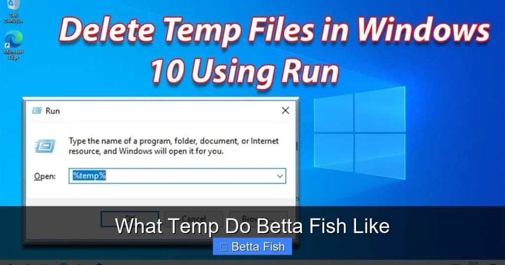 What Temp Do Betta Fish Like