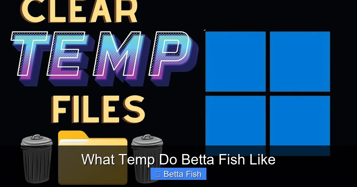 What Temp Do Betta Fish Like