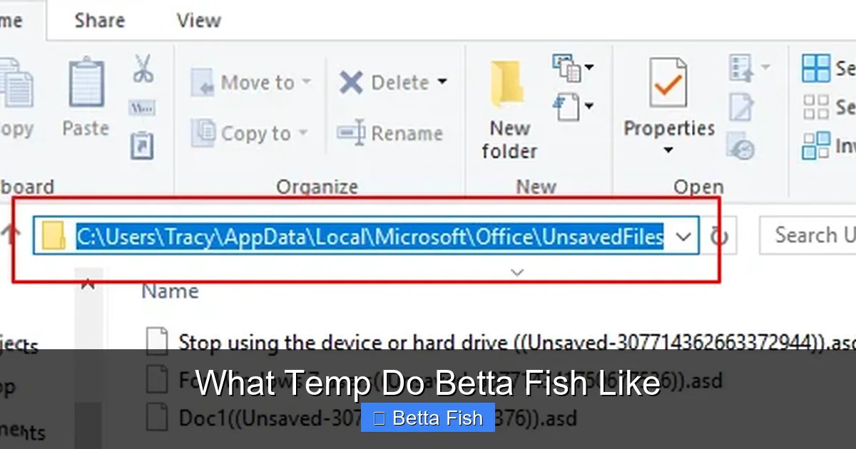 What Temp Do Betta Fish Like