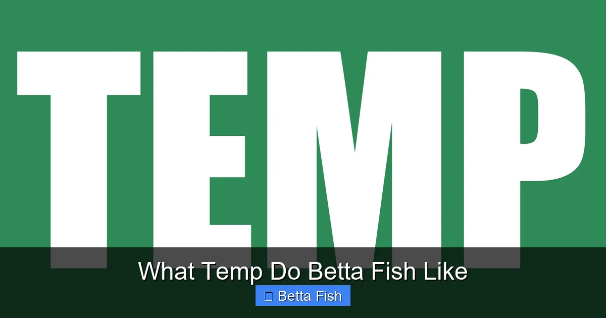 What Temp Do Betta Fish Like