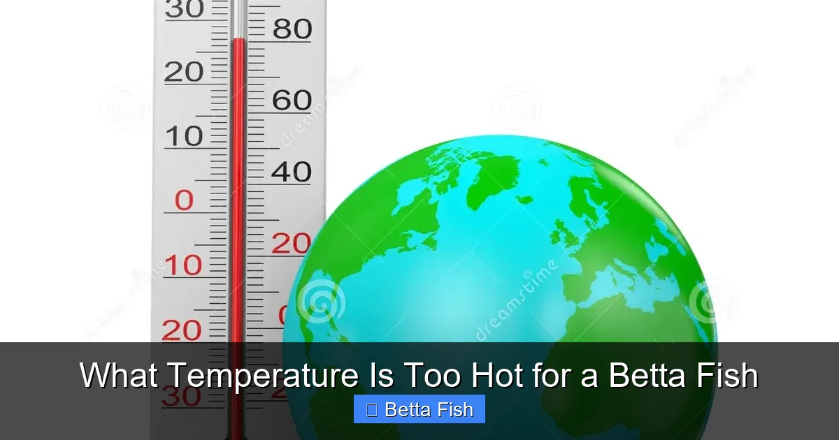 What Temperature Is Too Hot for a Betta Fish