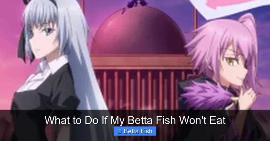 What to Do If My Betta Fish Won't Eat