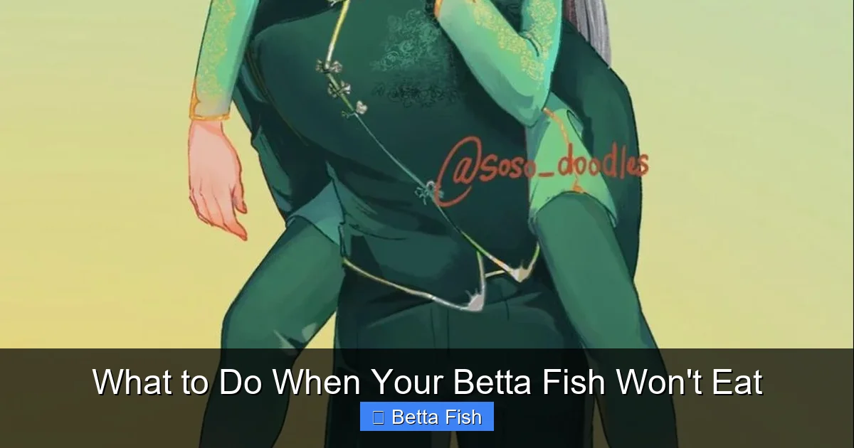 What to Do When Your Betta Fish Won't Eat