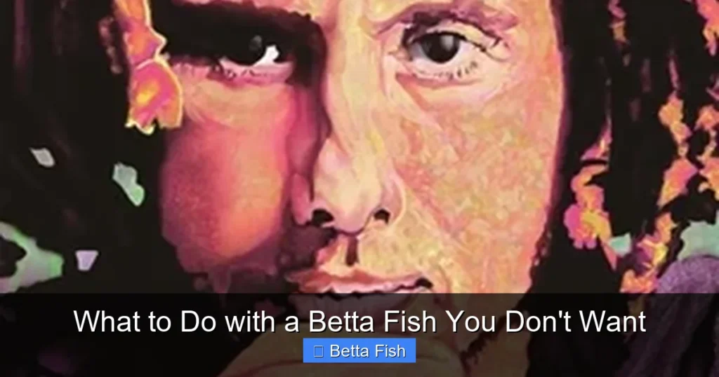 What to Do with a Betta Fish You Don't Want