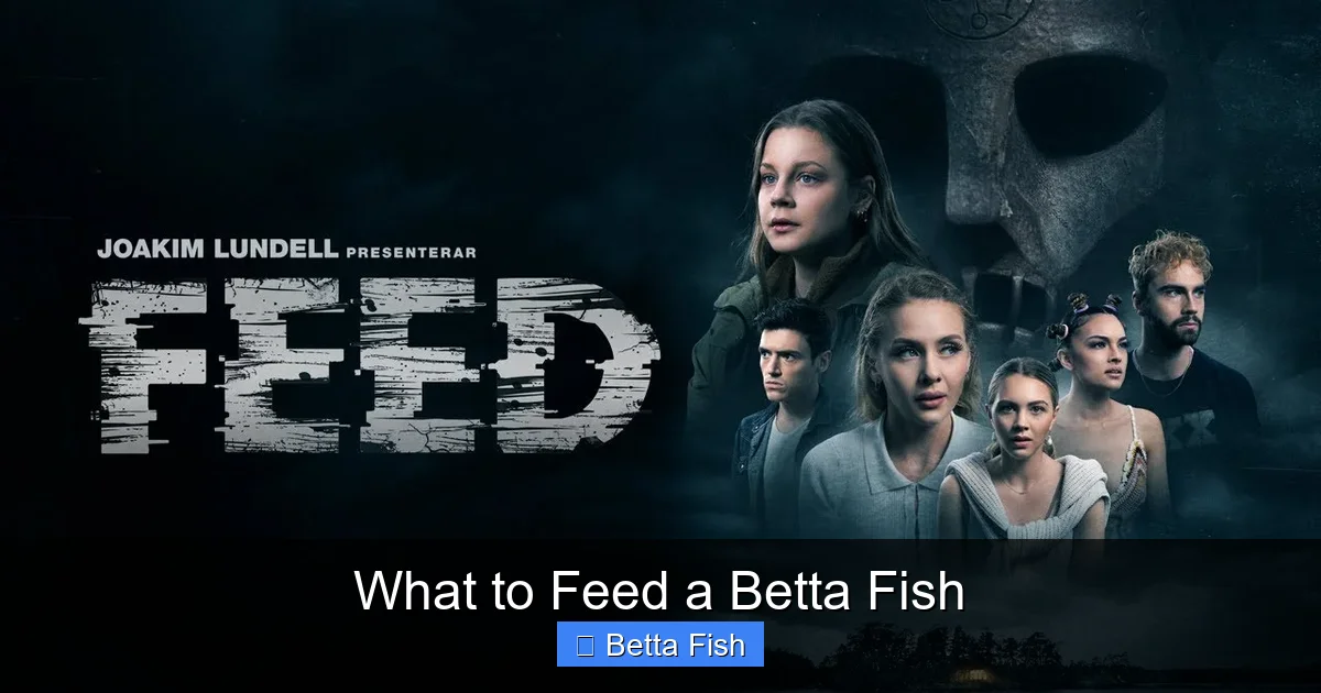 What to Feed a Betta Fish