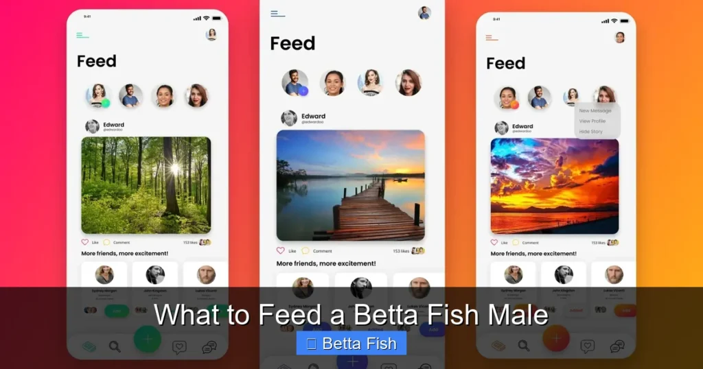 What to Feed a Betta Fish Male