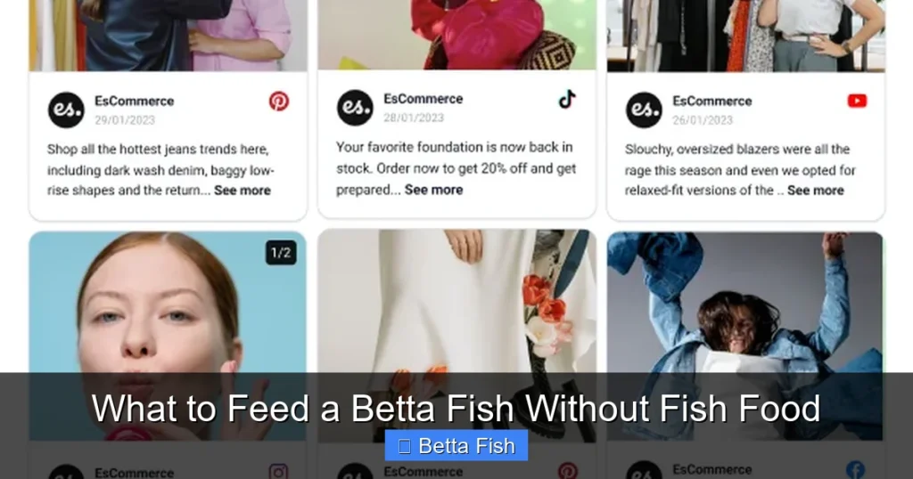 What to Feed a Betta Fish Without Fish Food