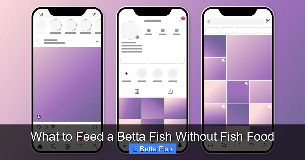 What to Feed a Betta Fish Without Fish Food