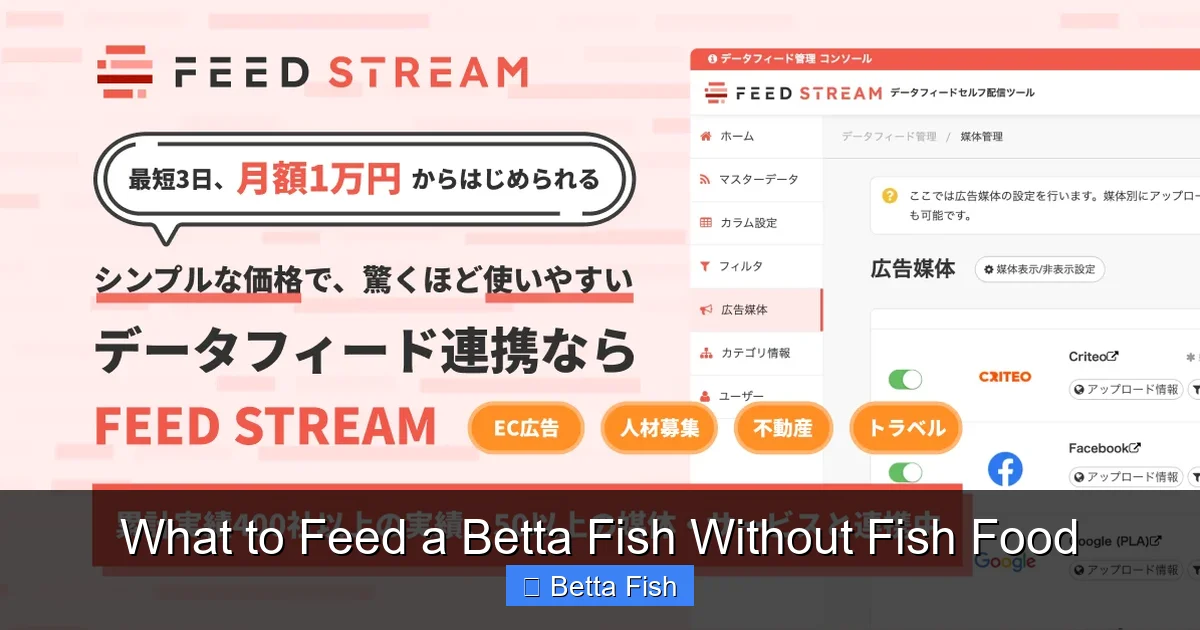 What to Feed a Betta Fish Without Fish Food