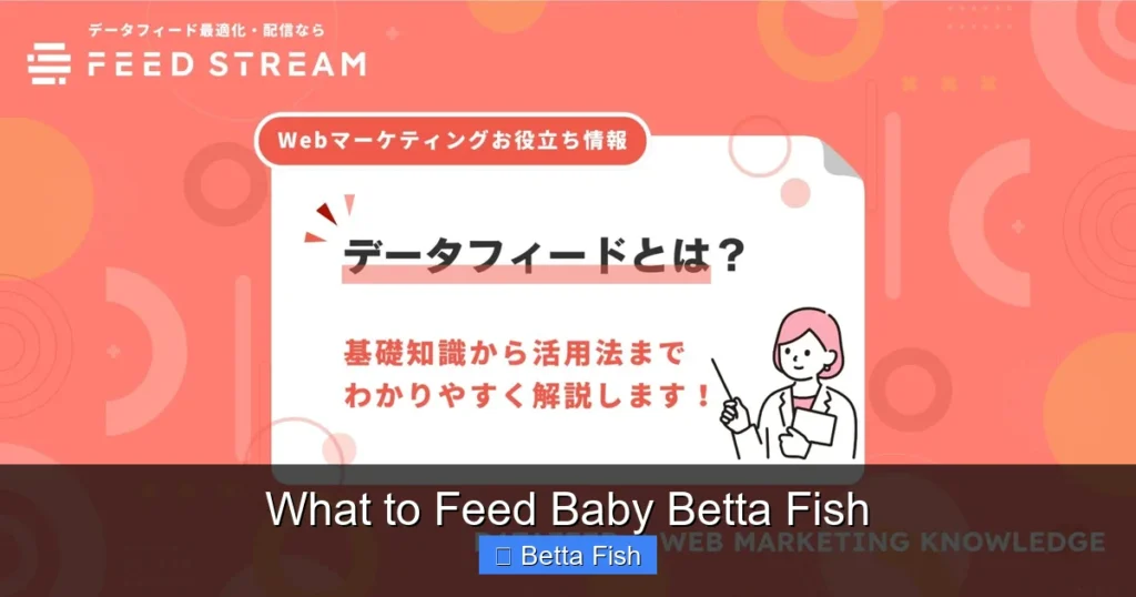 What to Feed Baby Betta Fish