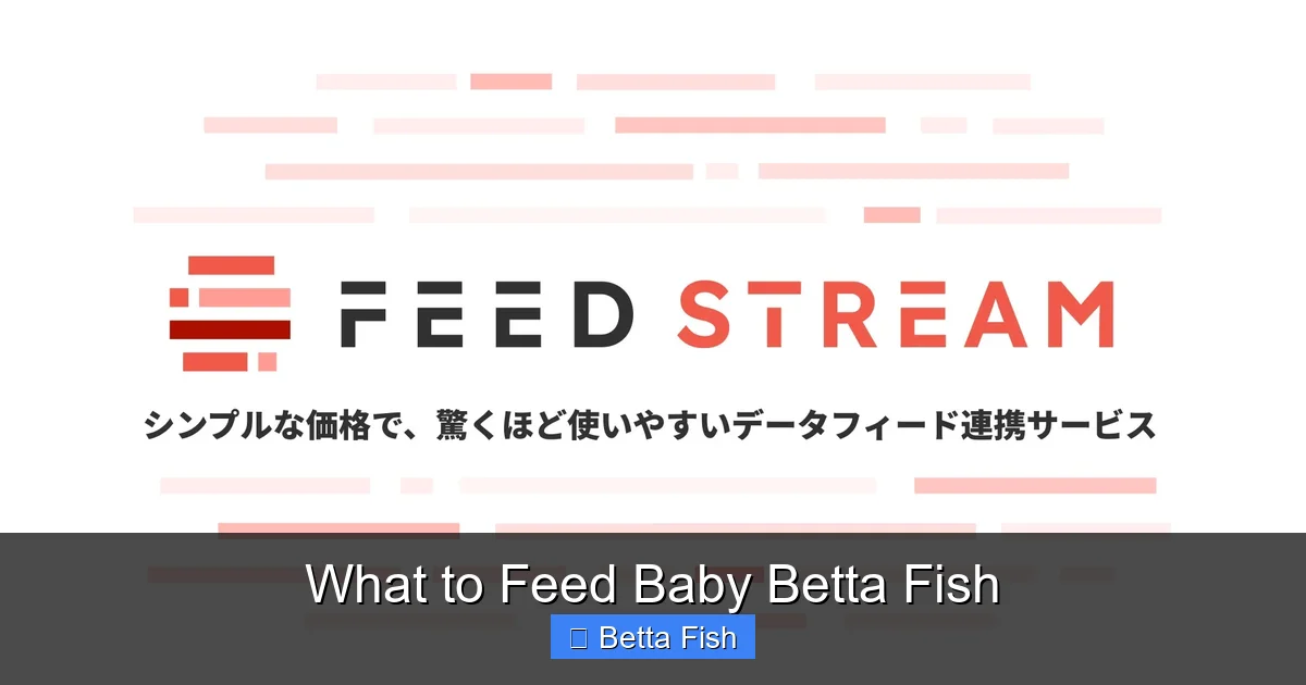 What to Feed Baby Betta Fish