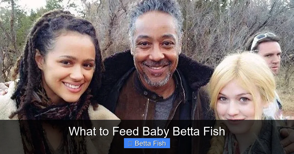 What to Feed Baby Betta Fish