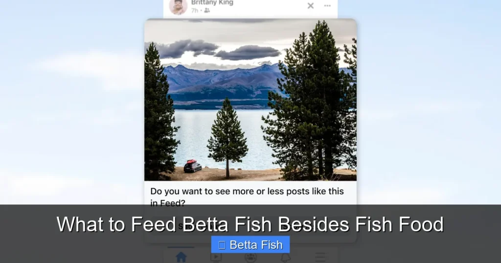 What to Feed Betta Fish Besides Fish Food