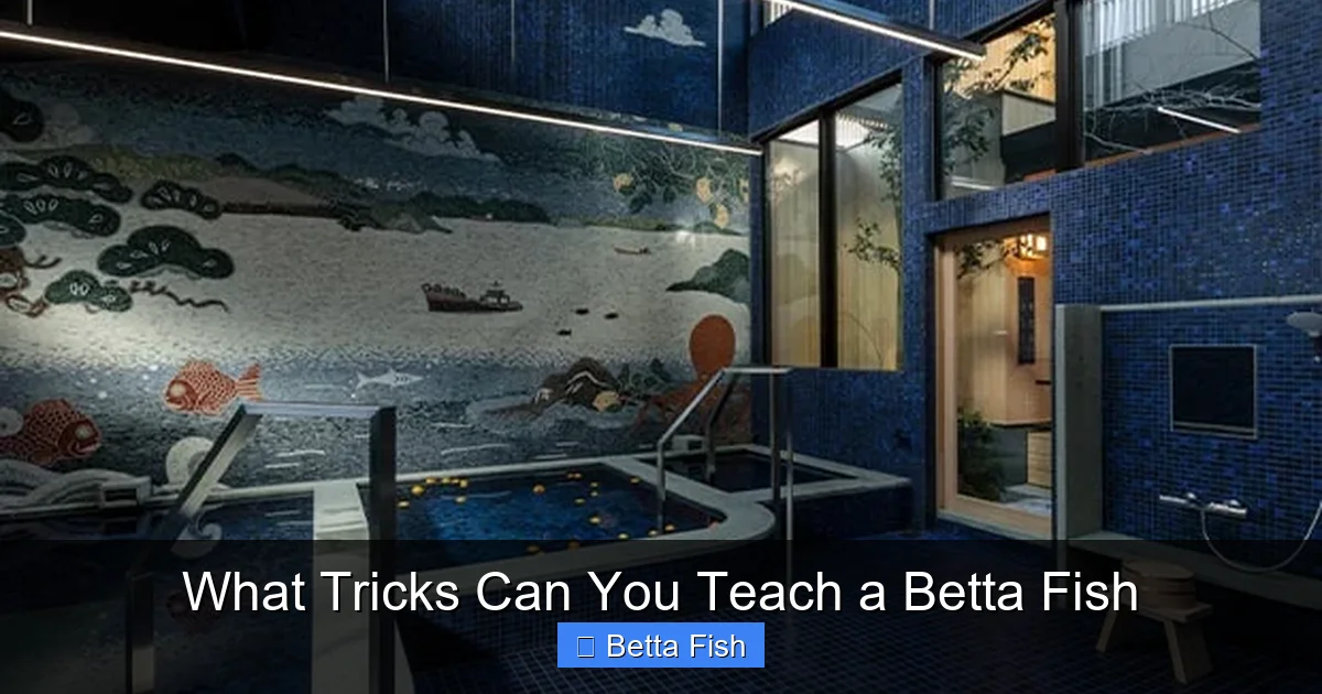What Tricks Can You Teach a Betta Fish