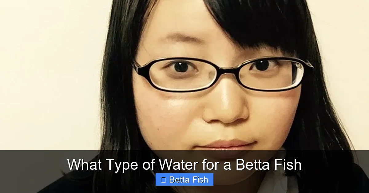 What Type of Water for a Betta Fish