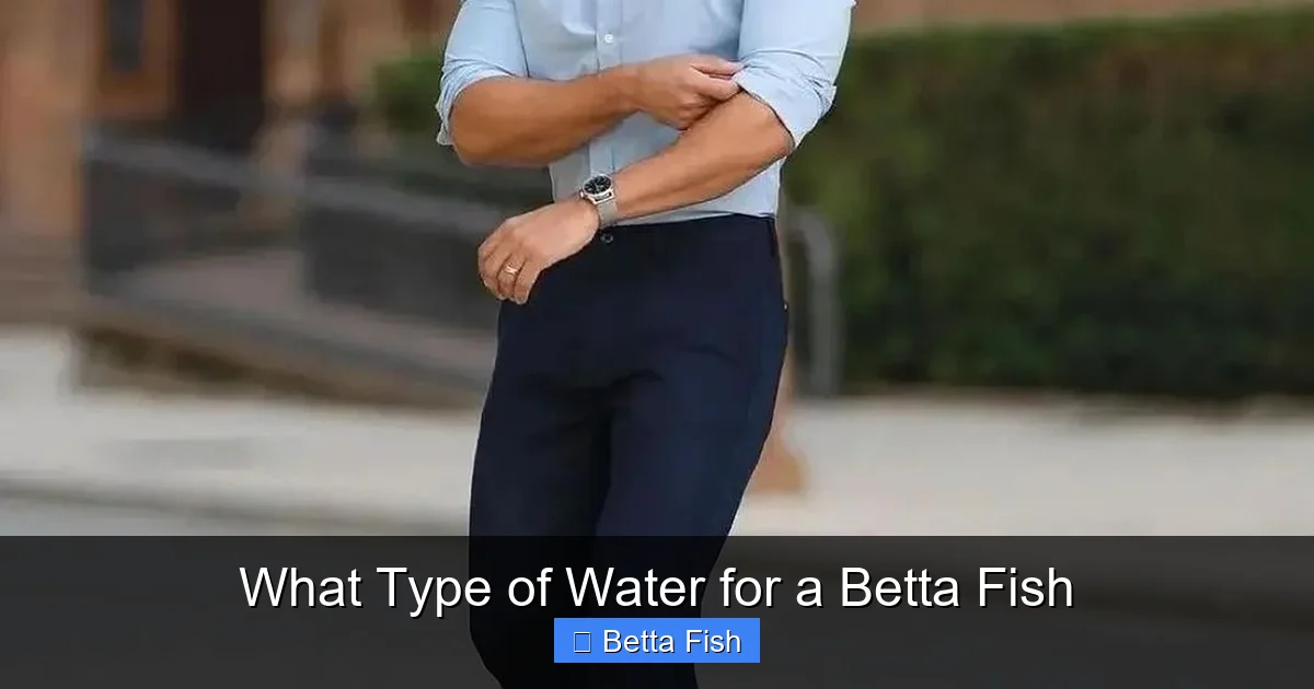 What Type of Water for a Betta Fish