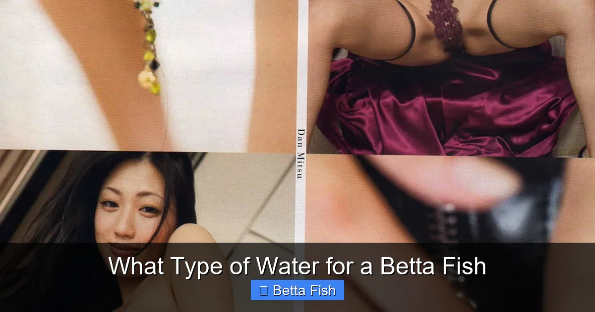 What Type of Water for a Betta Fish