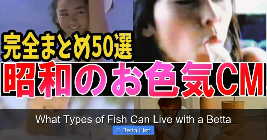 What Types of Fish Can Live with a Betta