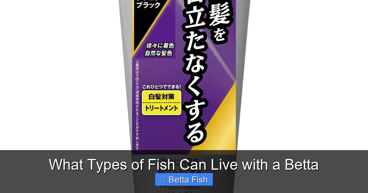 What Types of Fish Can Live with a Betta