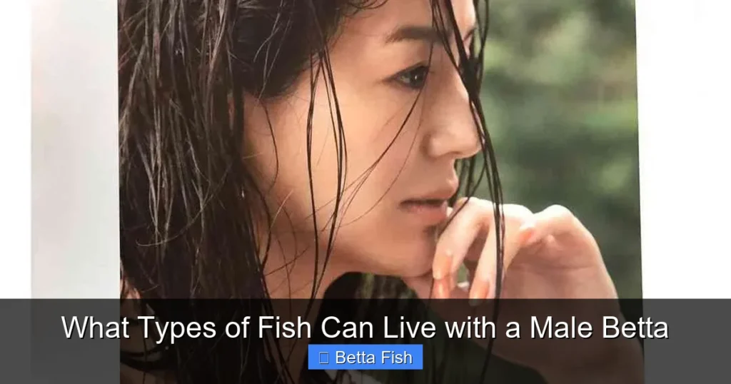 What Types of Fish Can Live with a Male Betta