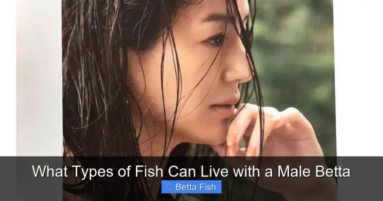 What Types of Fish Can Live with a Male Betta