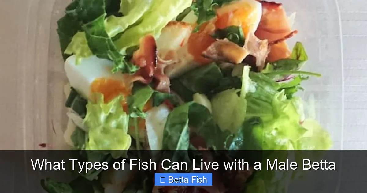What Types of Fish Can Live with a Male Betta