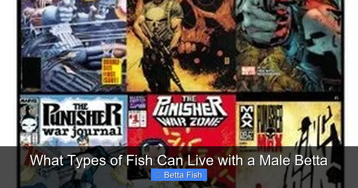 What Types of Fish Can Live with a Male Betta